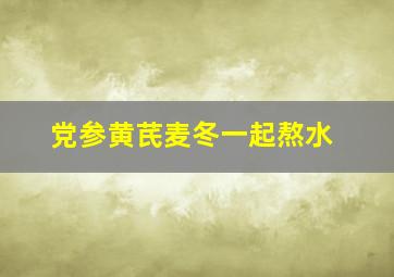 党参黄芪麦冬一起熬水