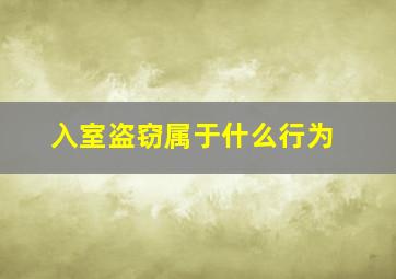 入室盗窃属于什么行为