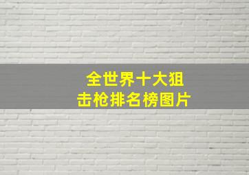 全世界十大狙击枪排名榜图片