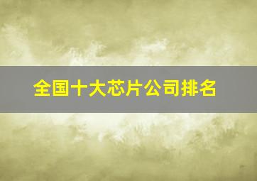 全国十大芯片公司排名