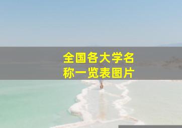 全国各大学名称一览表图片