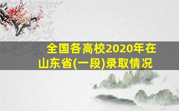 全国各高校2020年在山东省(一段)录取情况