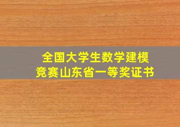 全国大学生数学建模竞赛山东省一等奖证书