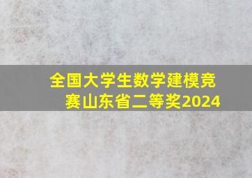 全国大学生数学建模竞赛山东省二等奖2024