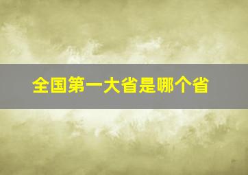 全国第一大省是哪个省