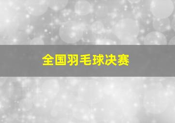 全国羽毛球决赛