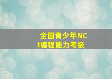 全国青少年NCt编程能力考级