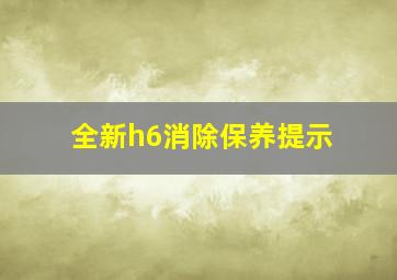 全新h6消除保养提示