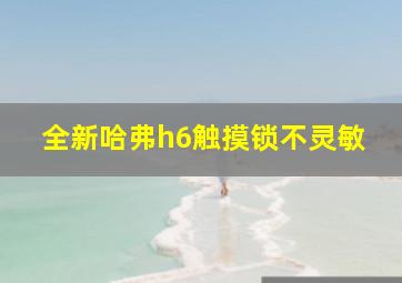 全新哈弗h6触摸锁不灵敏