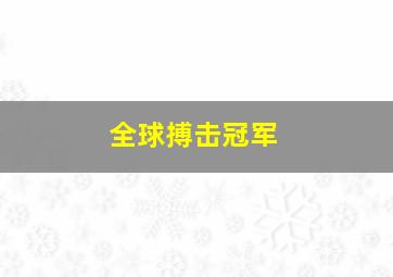 全球搏击冠军