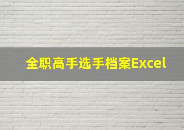 全职高手选手档案Excel