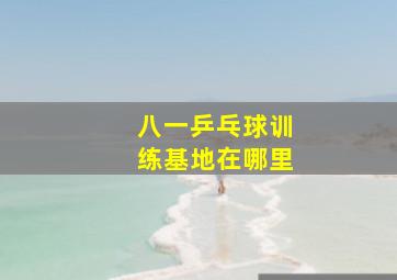 八一乒乓球训练基地在哪里