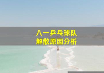 八一乒乓球队解散原因分析