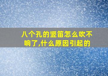 八个孔的竖笛怎么吹不响了,什么原因引起的