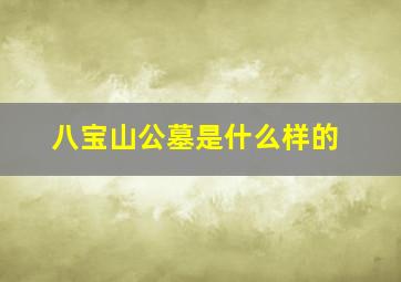 八宝山公墓是什么样的