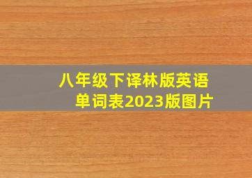 八年级下译林版英语单词表2023版图片