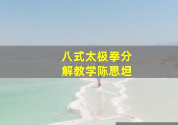 八式太极拳分解教学陈思坦