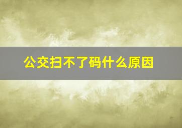 公交扫不了码什么原因