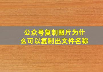 公众号复制图片为什么可以复制出文件名称