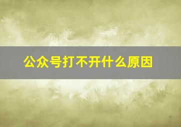 公众号打不开什么原因