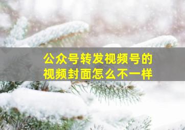 公众号转发视频号的视频封面怎么不一样