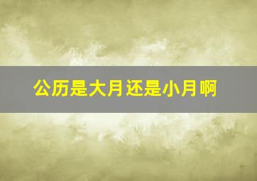 公历是大月还是小月啊