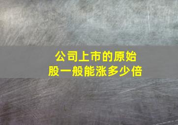 公司上市的原始股一般能涨多少倍