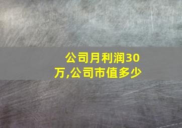 公司月利润30万,公司市值多少