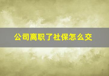 公司离职了社保怎么交