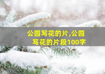 公园写花的片,公园写花的片段100字