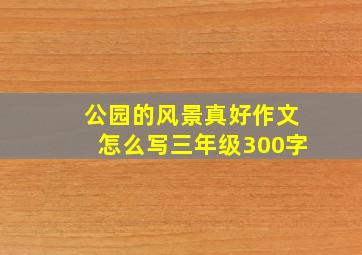 公园的风景真好作文怎么写三年级300字