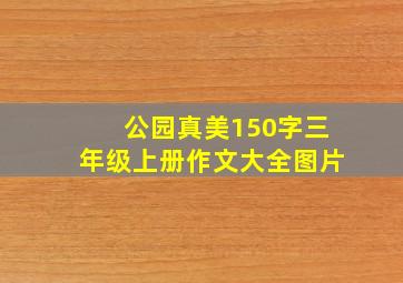 公园真美150字三年级上册作文大全图片