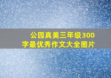 公园真美三年级300字最优秀作文大全图片