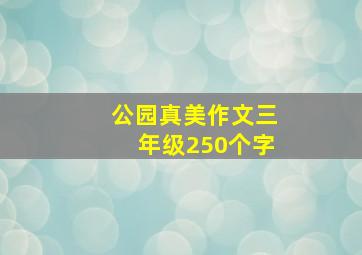 公园真美作文三年级250个字