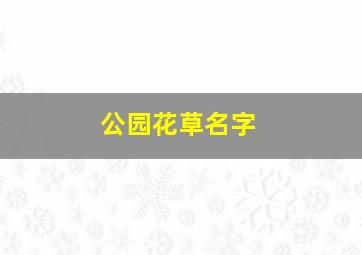 公园花草名字