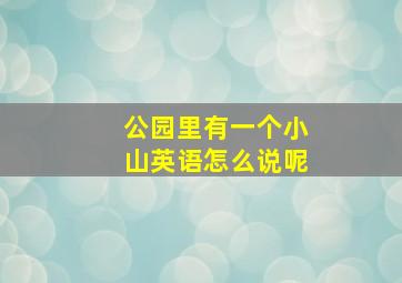 公园里有一个小山英语怎么说呢