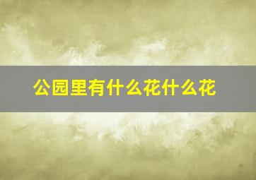 公园里有什么花什么花