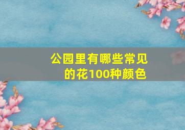 公园里有哪些常见的花100种颜色