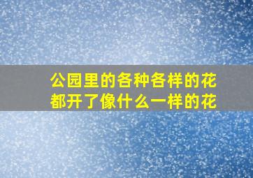 公园里的各种各样的花都开了像什么一样的花