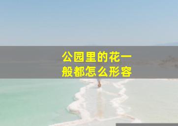 公园里的花一般都怎么形容