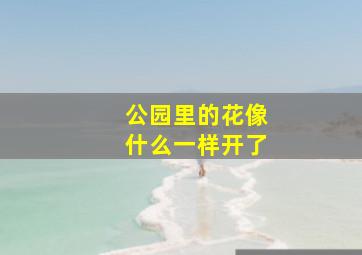 公园里的花像什么一样开了