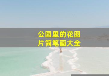 公园里的花图片简笔画大全