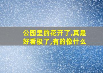 公园里的花开了,真是好看极了,有的像什么