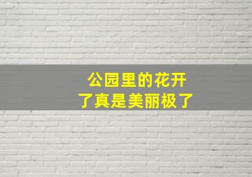 公园里的花开了真是美丽极了