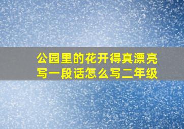 公园里的花开得真漂亮写一段话怎么写二年级