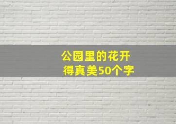 公园里的花开得真美50个字