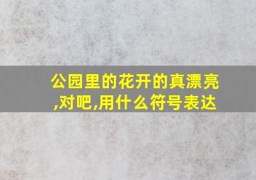 公园里的花开的真漂亮,对吧,用什么符号表达