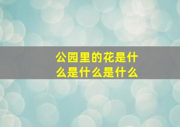 公园里的花是什么是什么是什么