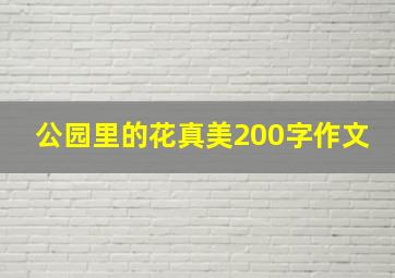 公园里的花真美200字作文