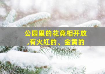 公园里的花竞相开放,有火红的、金黄的